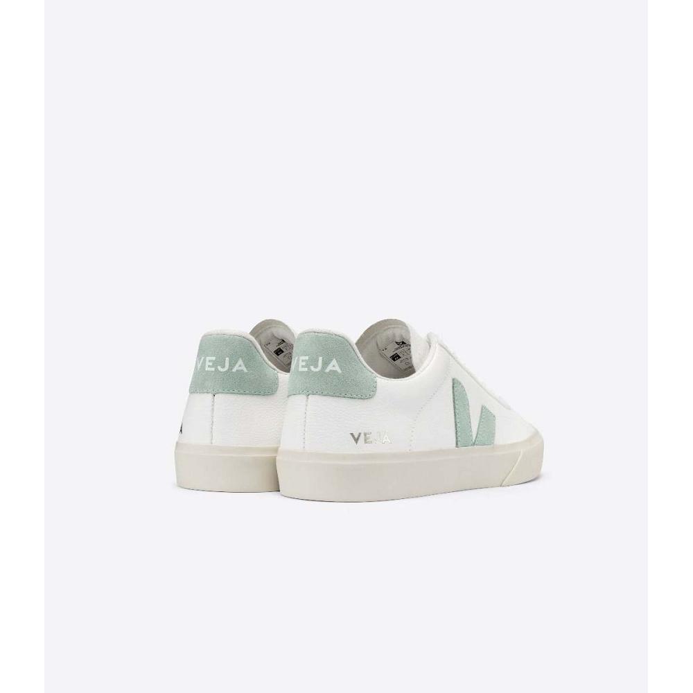 Men's Veja CAMPO CHROMEFREE Low Tops Sneakers White/Mint | SG 295RVD